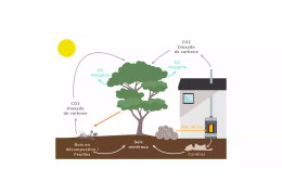 Le bois, une énergie de chauffage renouvelable et écologique